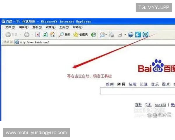 下载4008浏览器云顶最新版享受流畅网页浏览与丰富扩展功能